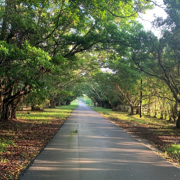 Meet your Posher, Robin - Picture 1 of 1